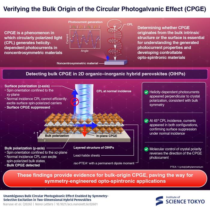 Identifying the bulk origin of the circular photogalvanic effect (CPGE)