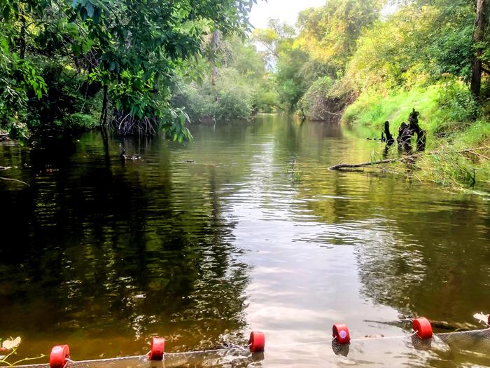 South Texas River