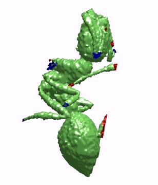 3-D Scan
