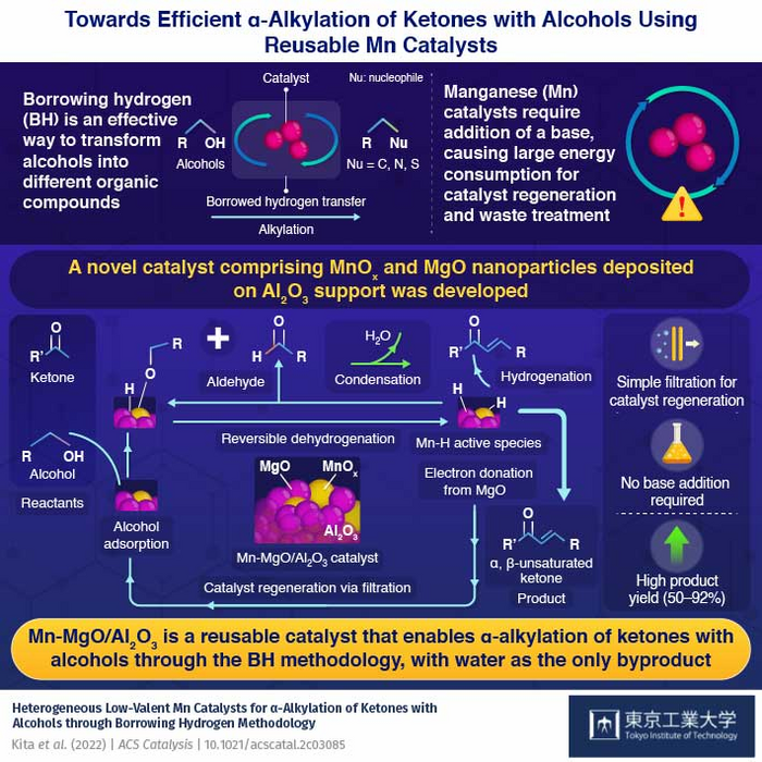 Towards Efficient α-Alkylation of Ketones with Alcohols Using Reusable Mn Catalysts