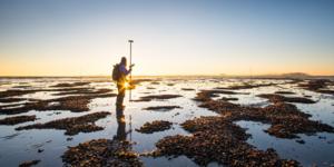Intertidal mussel cultivation plot in the Oosterschelde.