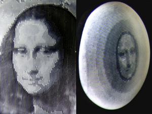 Cephalopod inspired smart skin material