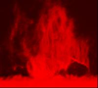 Solar Prominence