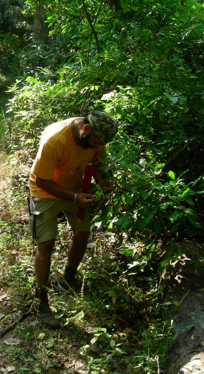 Field Work