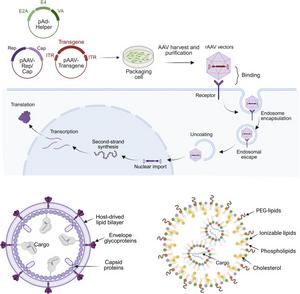 Schematic Illustrations of the Mechanisms and Structures of Commonly Used Delivery Systems in Ocular Gene Therapy