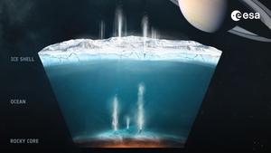 Hydrothermal activity on Enceladus