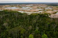 Mining ponds show where the forest once stood in the La Pampa region of Madre de Dios, Peru.