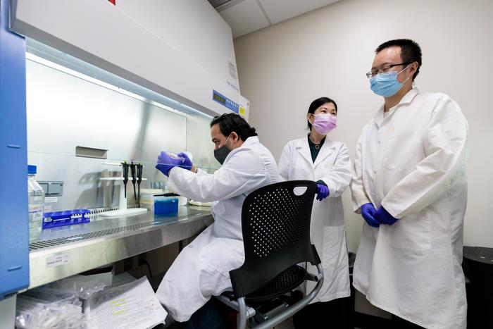 Joyce Chen lab