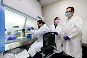 Joyce Chen lab
