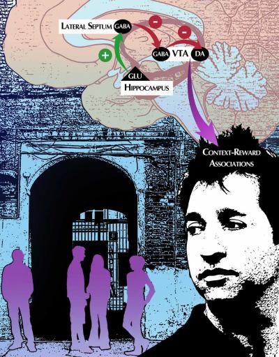 A Neural Pathway to Reward?