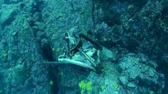 The Case for Deep Reef Conservation