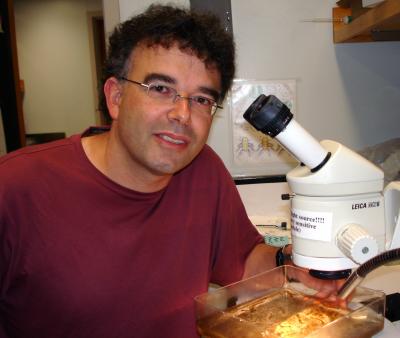 UO Researcher
