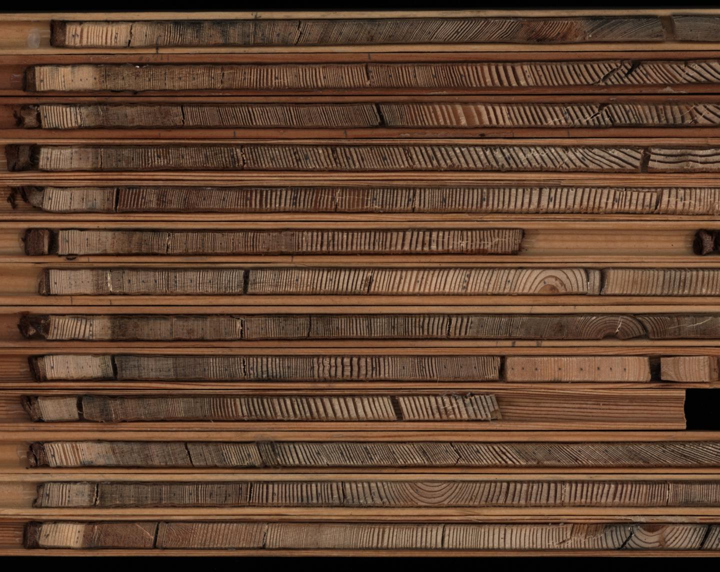 Tree Rings
