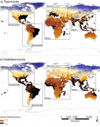 Worldwide Distribution