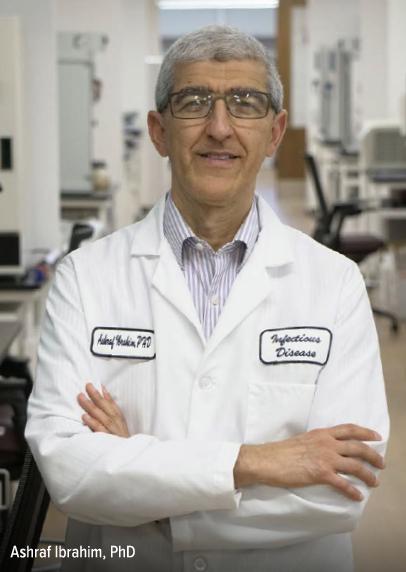 Ashraf Ibrahim, PhD