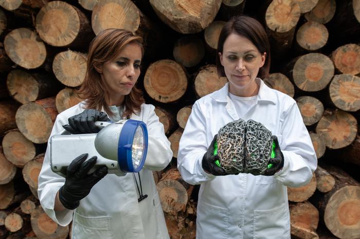 Green pharmaceuticals begin with the chemical reaction. Light and ultrasound turn biomass into valuable molecules