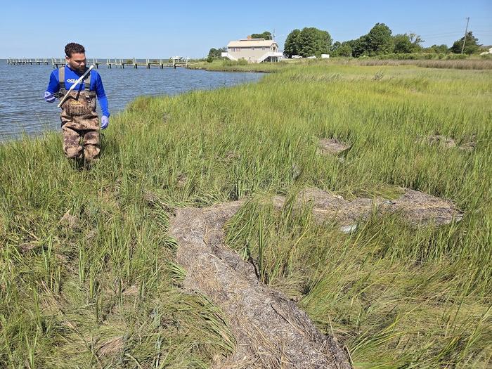 La basura flotante se extiende por la bahía de Chesapeake, el estuario más grande de los Estados Unidos