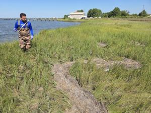 La basura flotante se extiende por la bahía de Chesapeake, el estuario más grande de los Estados Unidos