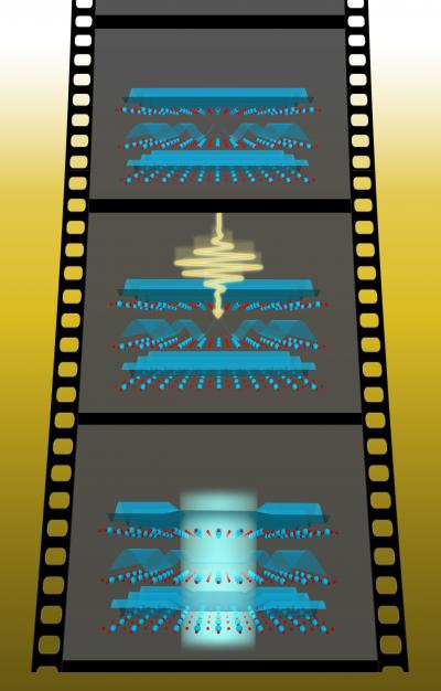 Light-Induced Superconductivity
