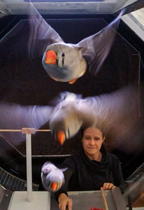 Susanne Hoffmann