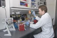 Work in the Laboratory