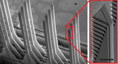 Scanning Electron Microscope Image of 3-D Array