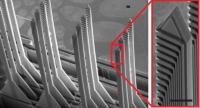 Scanning Electron Microscope Image of 3-D Array