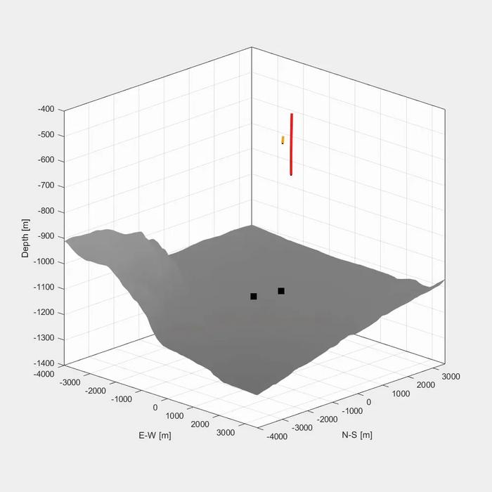 New acoustic study reveals deep-diving behavior of elusive beaked whales