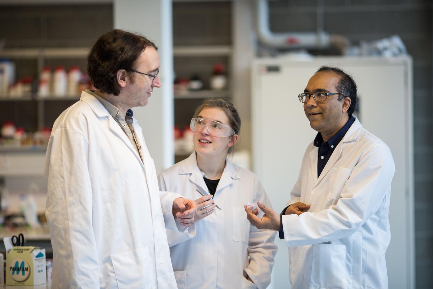 Sarah Guerin, Dr Damien Thompson, and Tofail Syed; University of Limerick