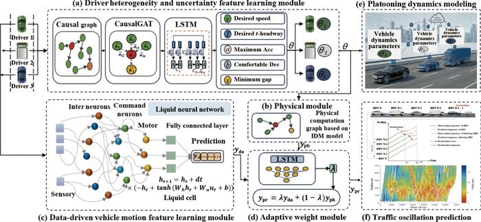The framework of the CPIDLM model