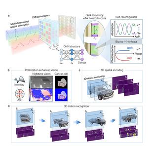 “Even Recognizing Puddles at Night”... KAIST Surpasses the Limits of Autonomous Driving​