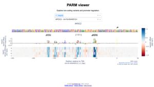 AI-model PARM for gene regulation