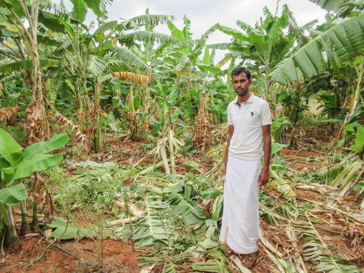 Crop Damage