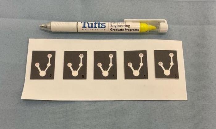Paper Detection of Bacterial Contamination