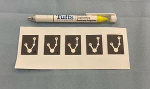 Paper Detection of Bacterial Contamination