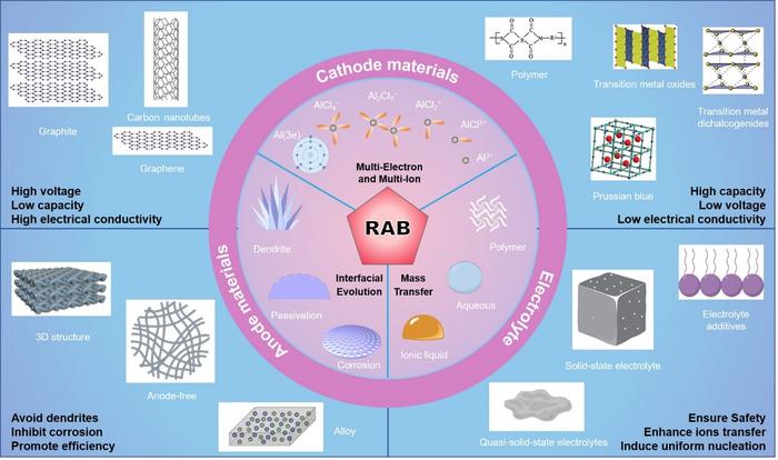 The key materials for the cathode electrode, anode electrode and electrolyte of RABs.