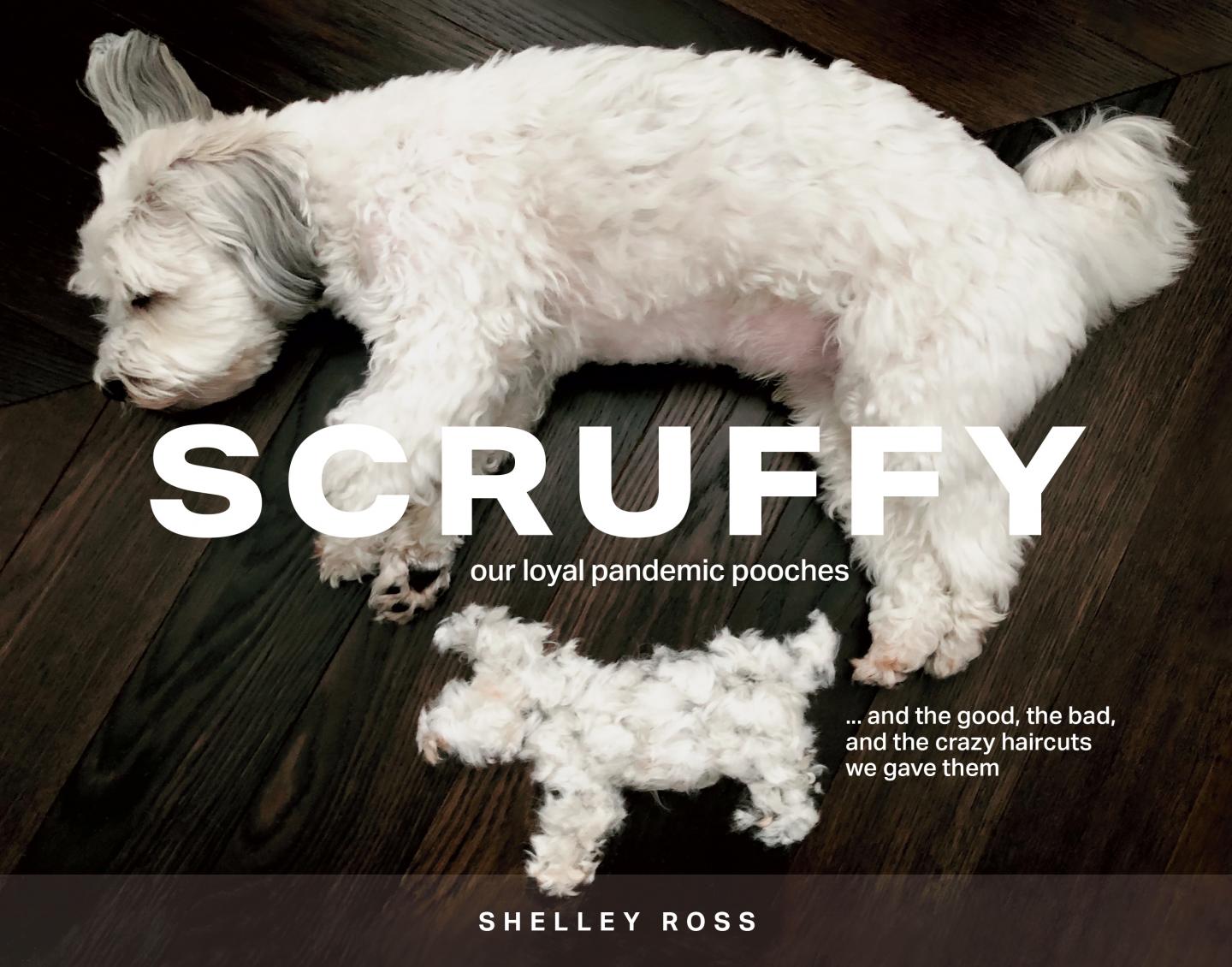 Scruffy Book fundraiser