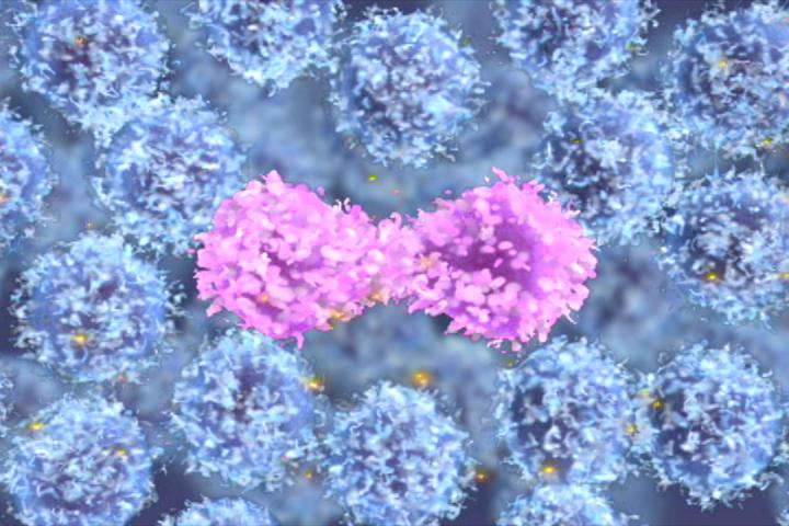 A Cell Replicating