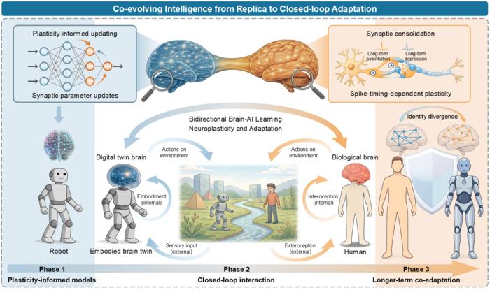 Teaching Digital Twin and Human Brains to Grow Together