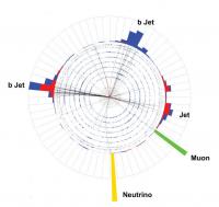 DZero Single Top Quark Candidate Event