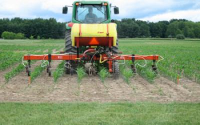 Farmer Tending to an Agricultural Crop