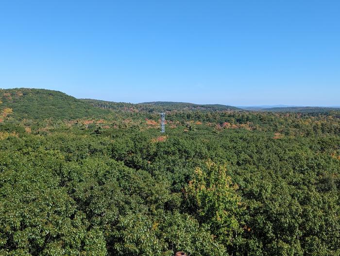 WVUEcosystem3
