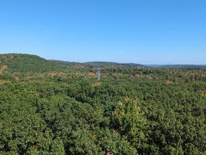 WVUEcosystem3