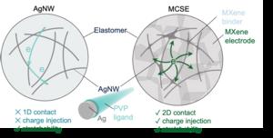 Figure 3. Schematic illustration of Ag nanowire stretchable electrodes and MXene-contact stretchable electrodes