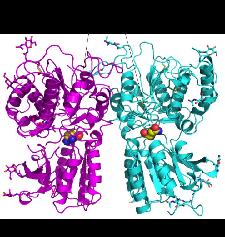 Crystal Structure