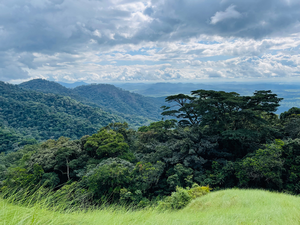 Mount Nimba Strict Nature Reserve