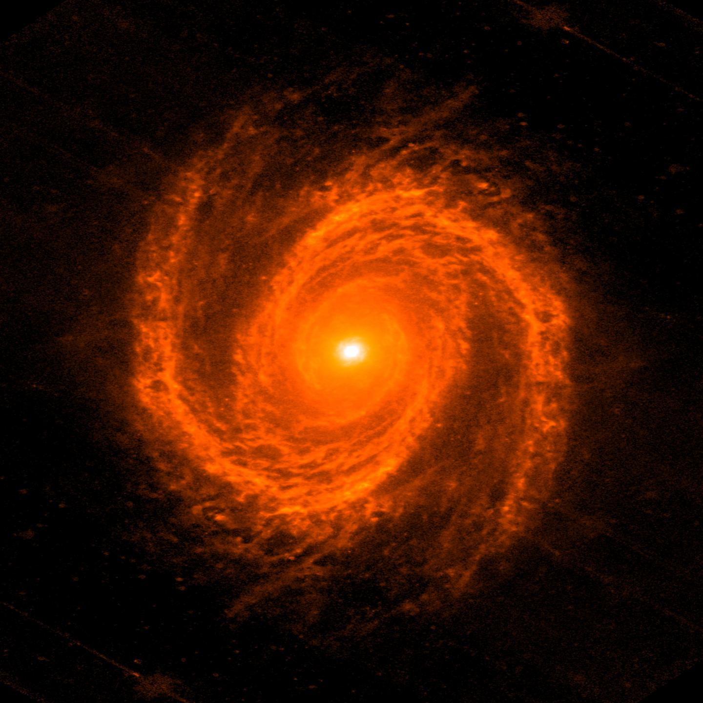 The 'Sab' Type Galaxy Messier 81