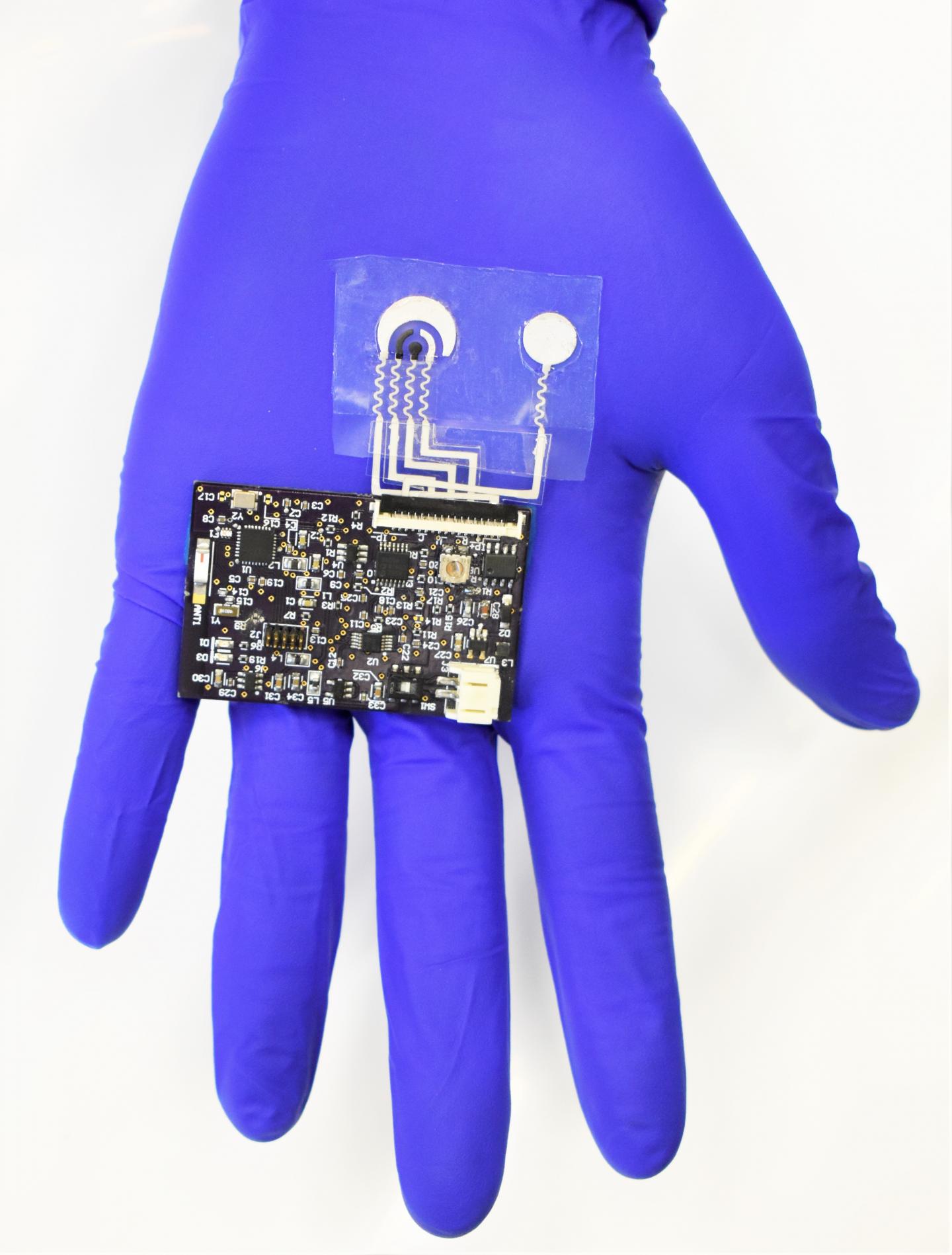 Sensors and Electronic Board