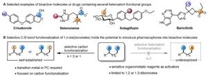 Selective Boron-Heteroatom Group Exchange Reactions