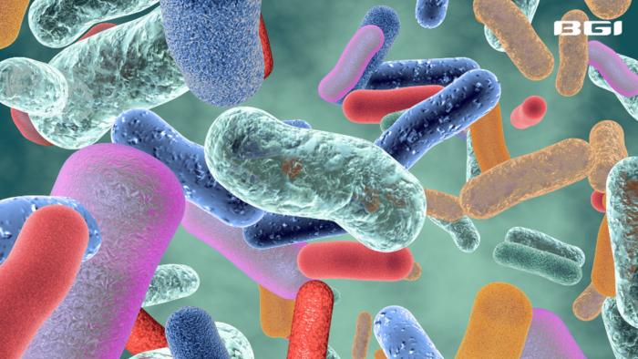 BGI Genomics study shows Gut Bacteria Boost Metabolism and Bone Health